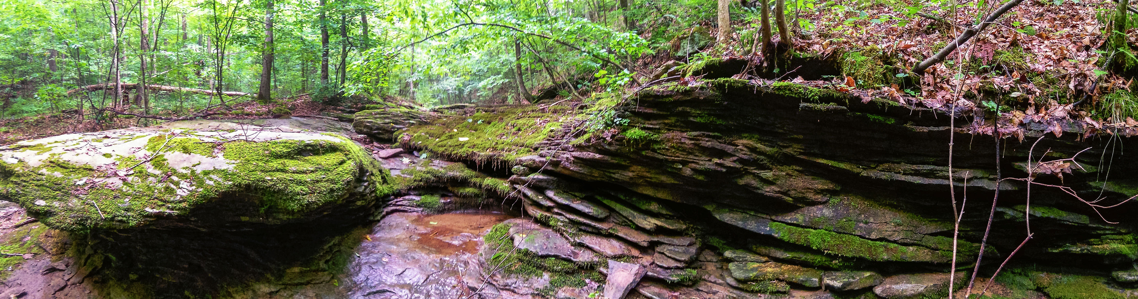 Flat Rocks