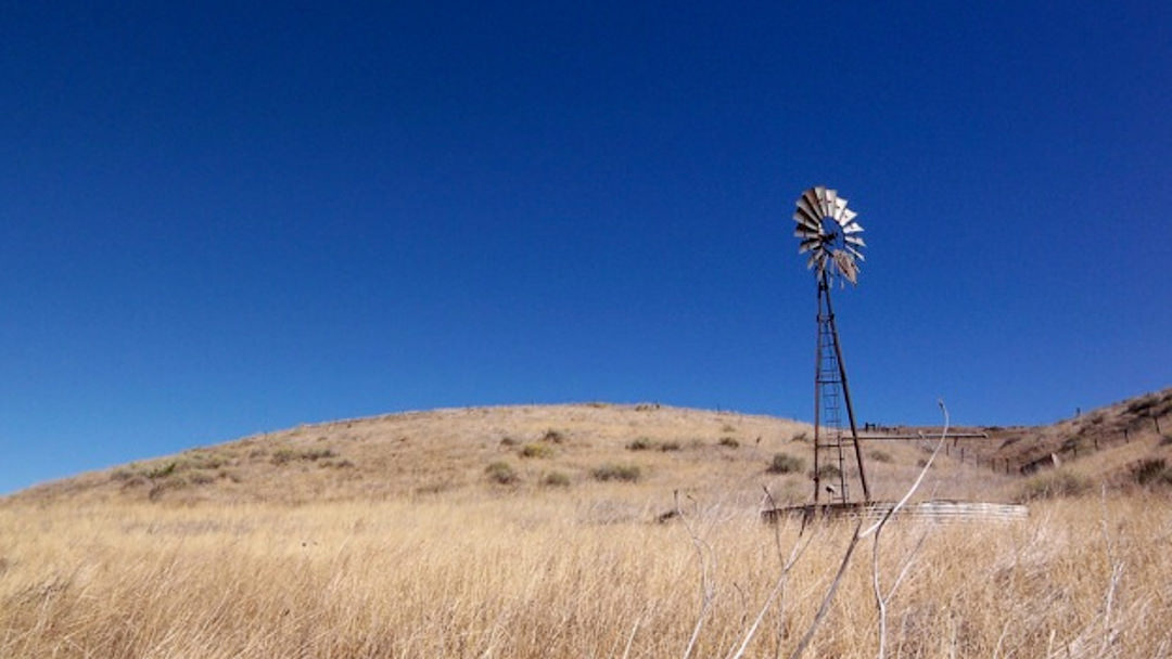 Windmill (Color) ‣ In The Viewfinder