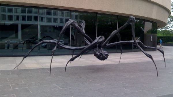 spider sculpture D.C.