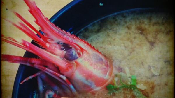 shrimp in a bowl of soup