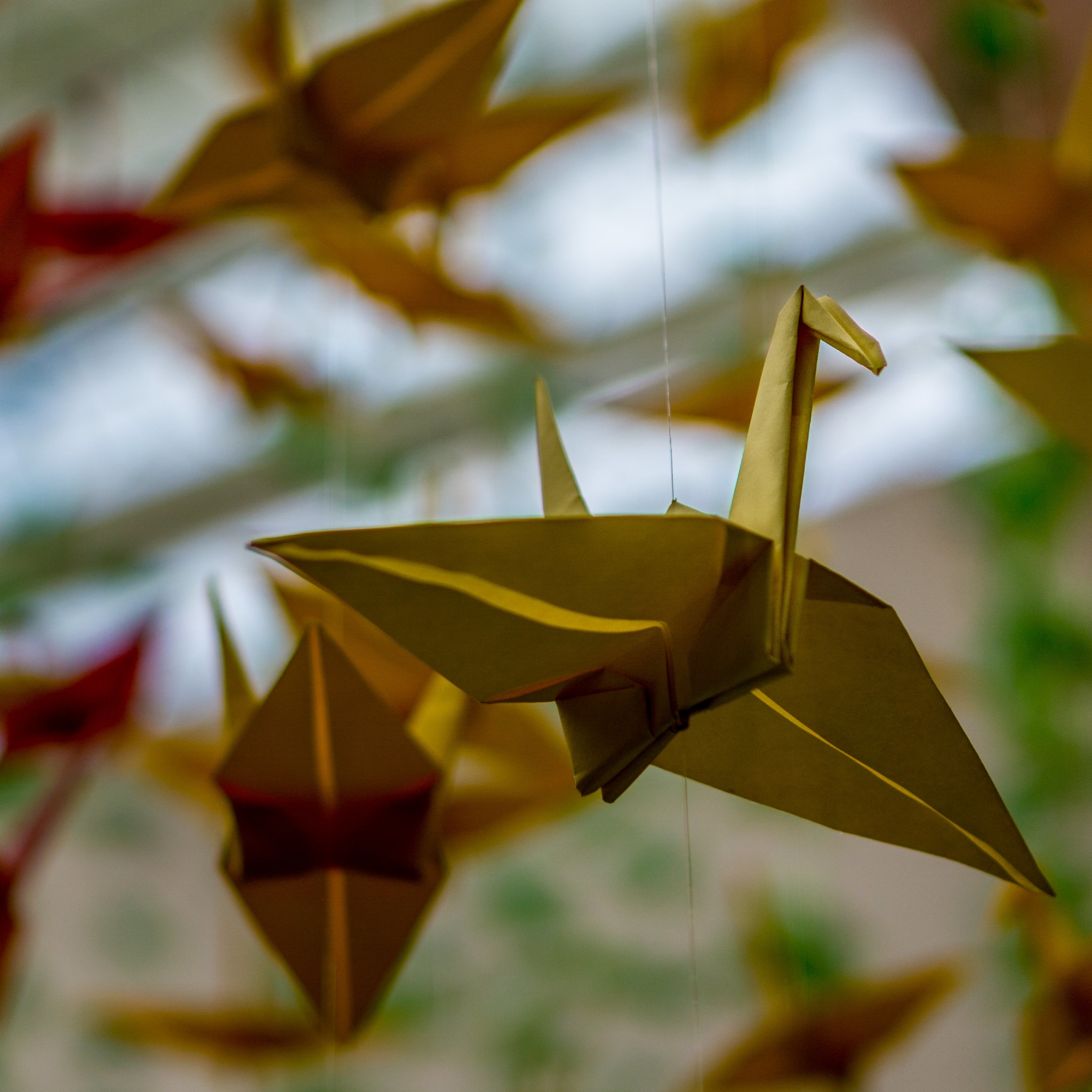 Origami Flock