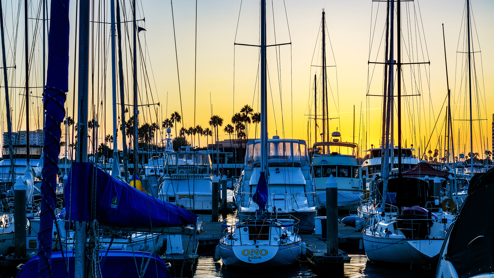 sunset in marina del rey