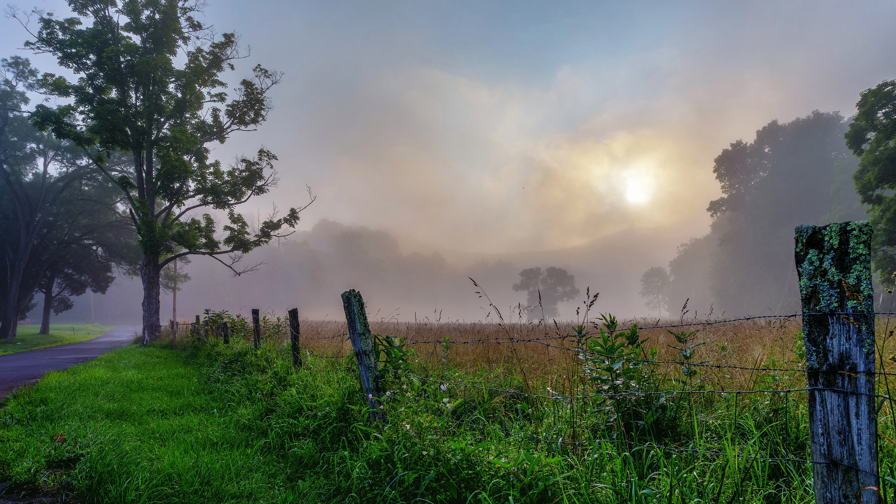 Foggy Morning in Grafton, West Virginia