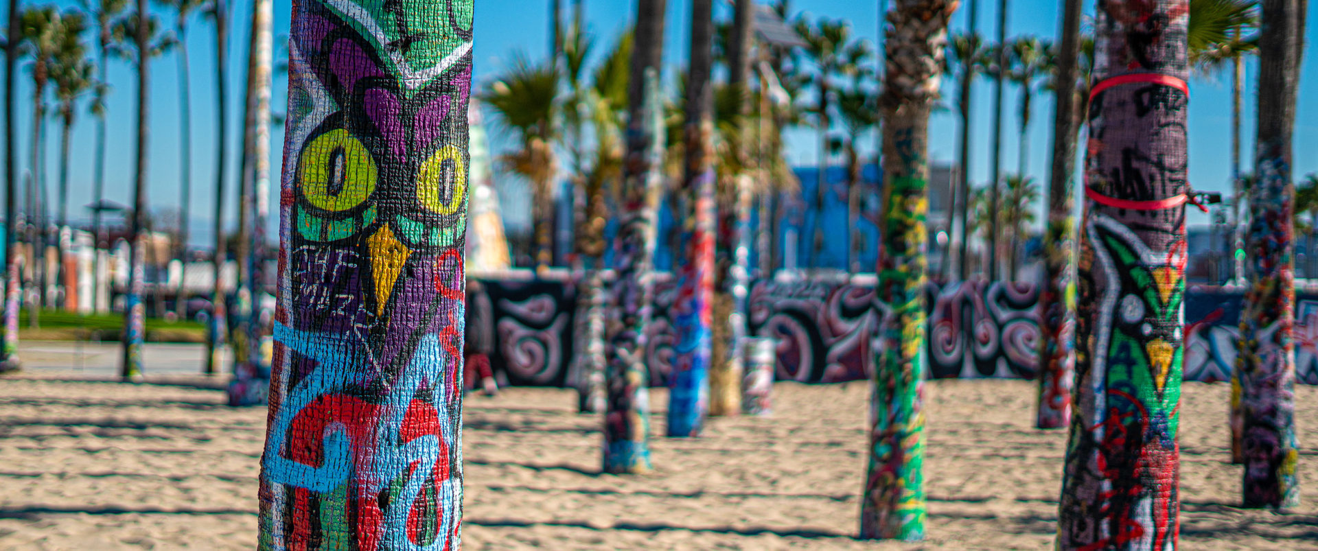 Venice Beach Art