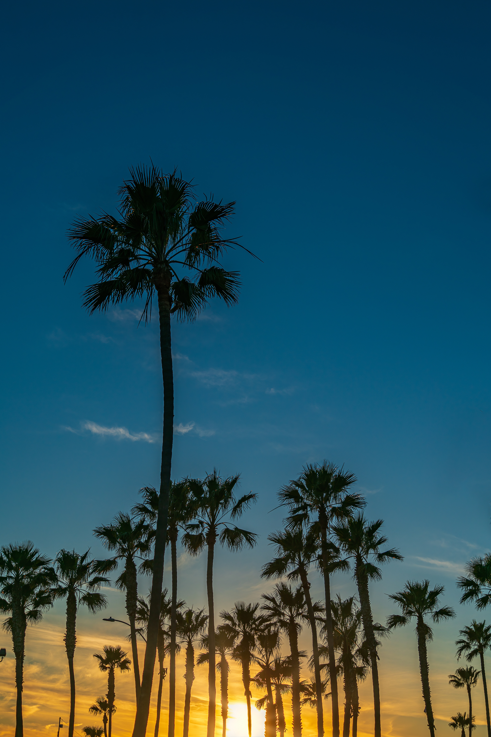 Sunset At Newport Beach Pier