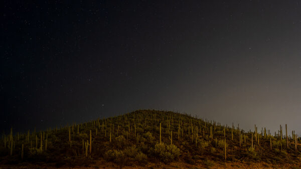 Room 5110, JW Marriott Tucson, Night View