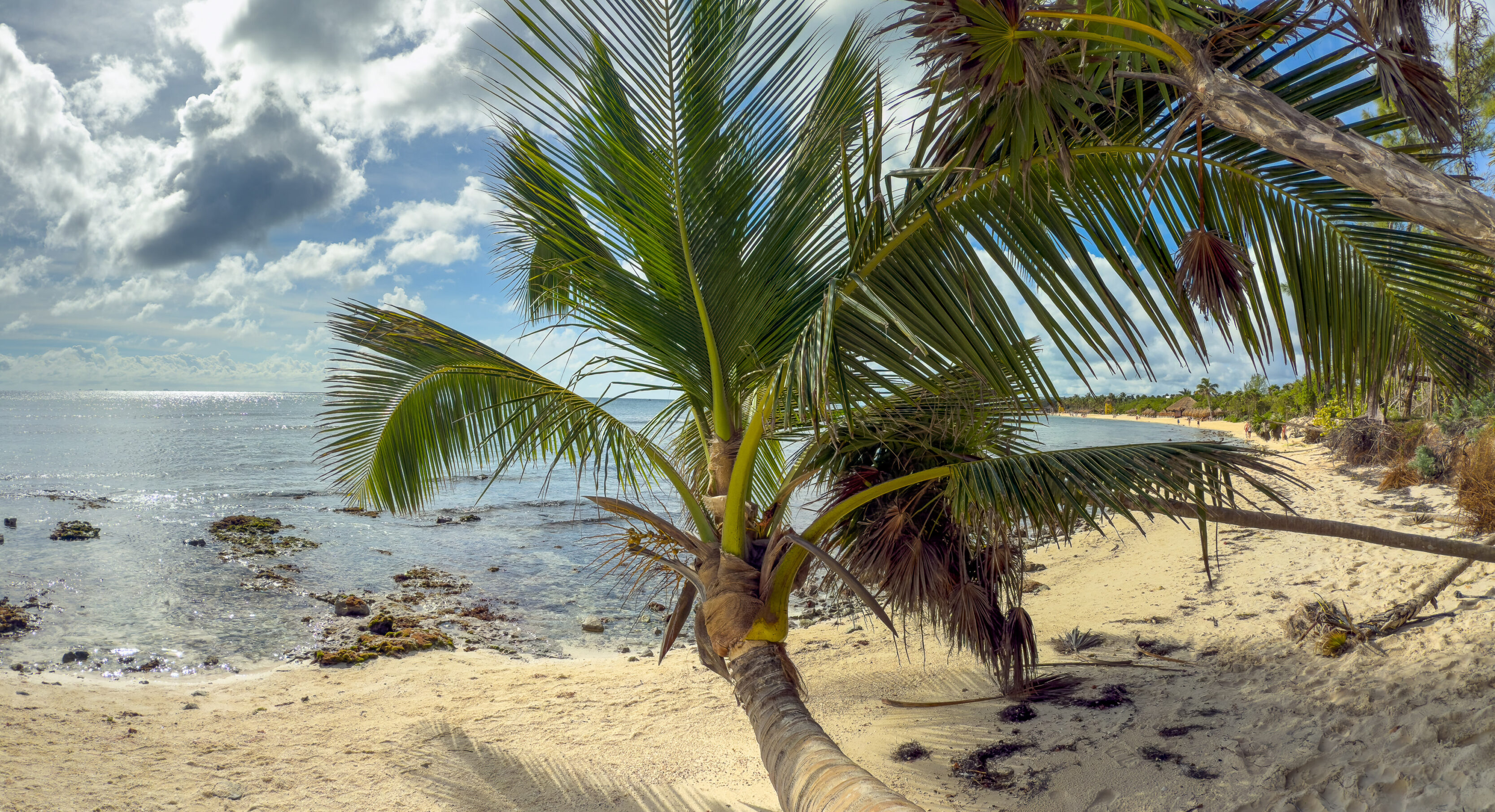 Playa Del Carmen