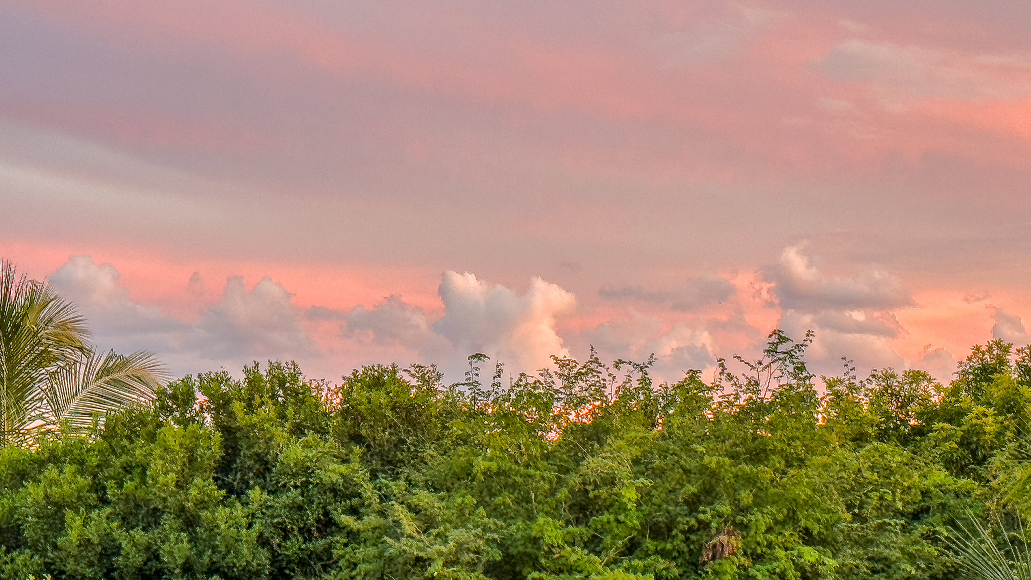 Sunset in Playa Del Carmen 241222