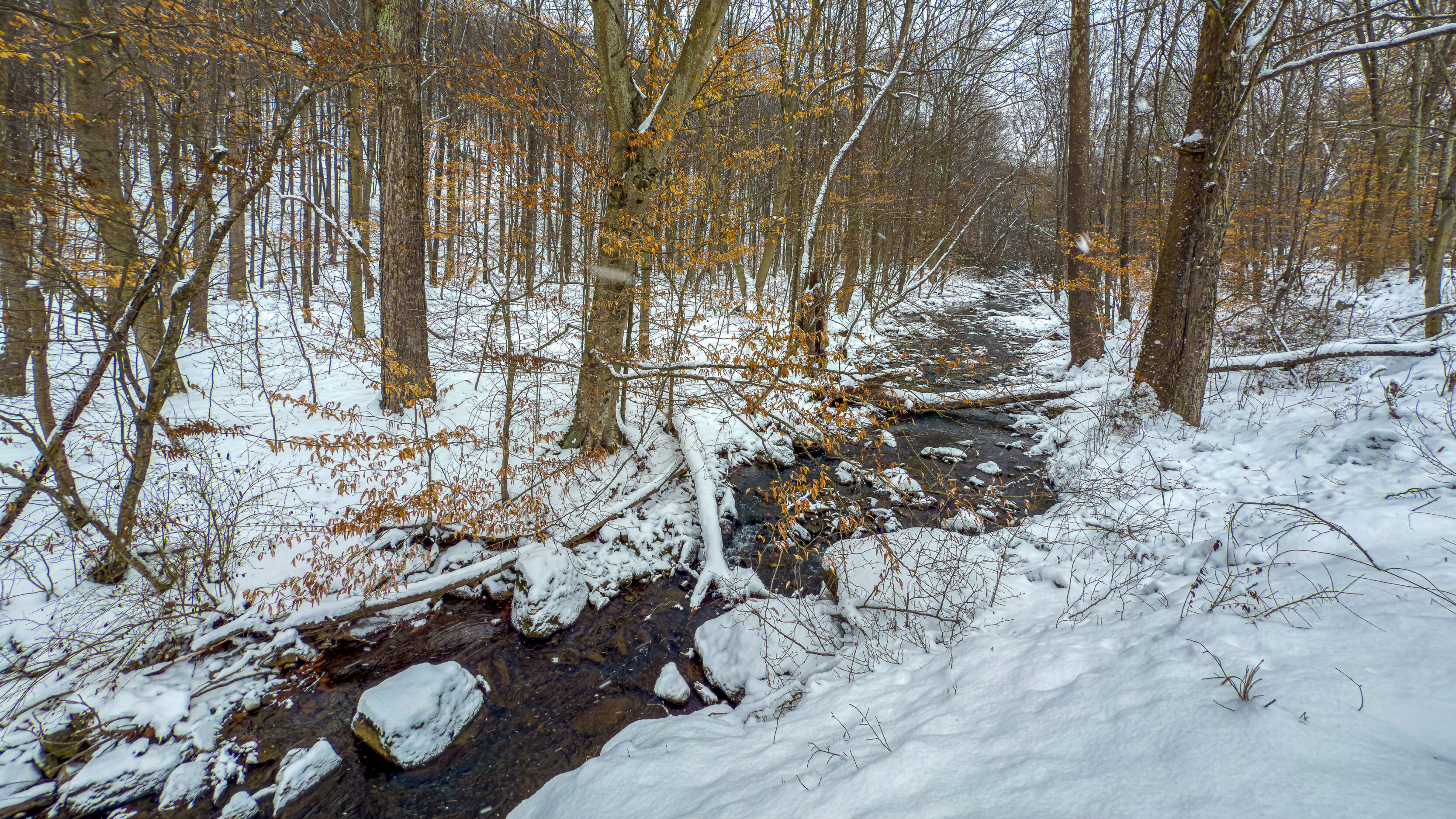 A West Virginia Creek In Winter