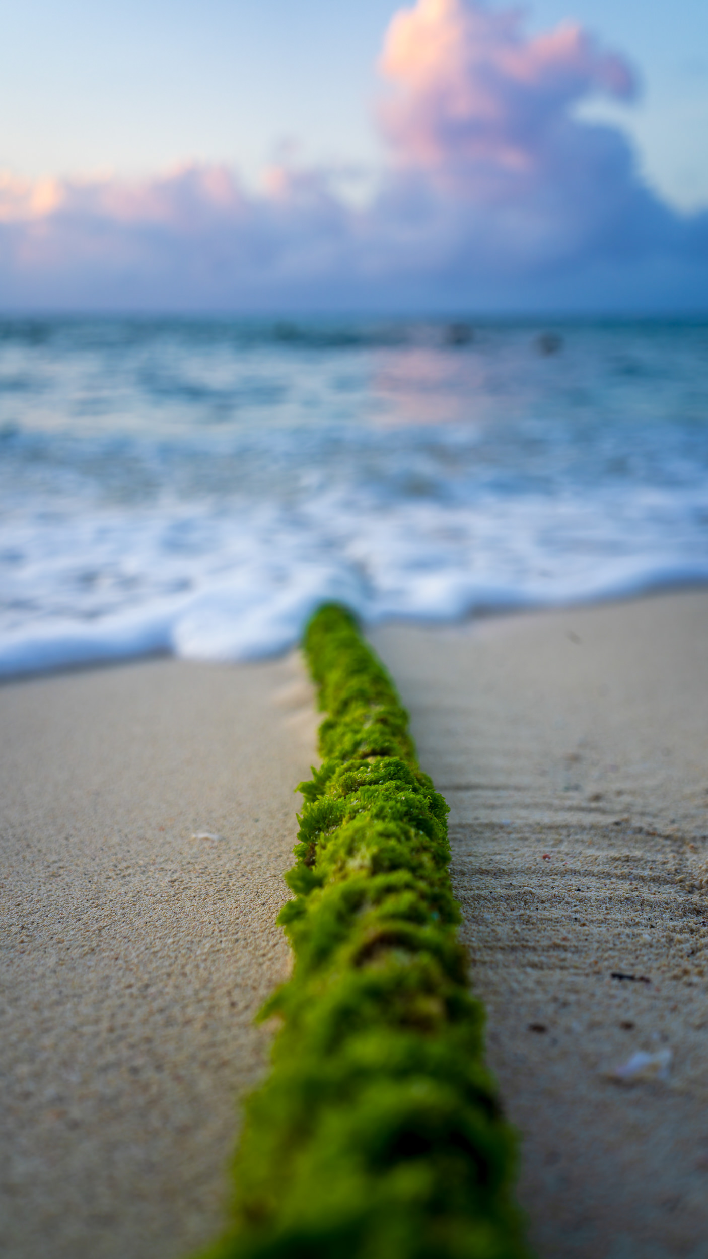 Sunrise And A Rope - Play Del Carmen, Mexico