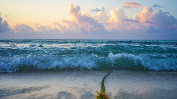 Sunrise And A Rope - Play Del Carmen, Mexico