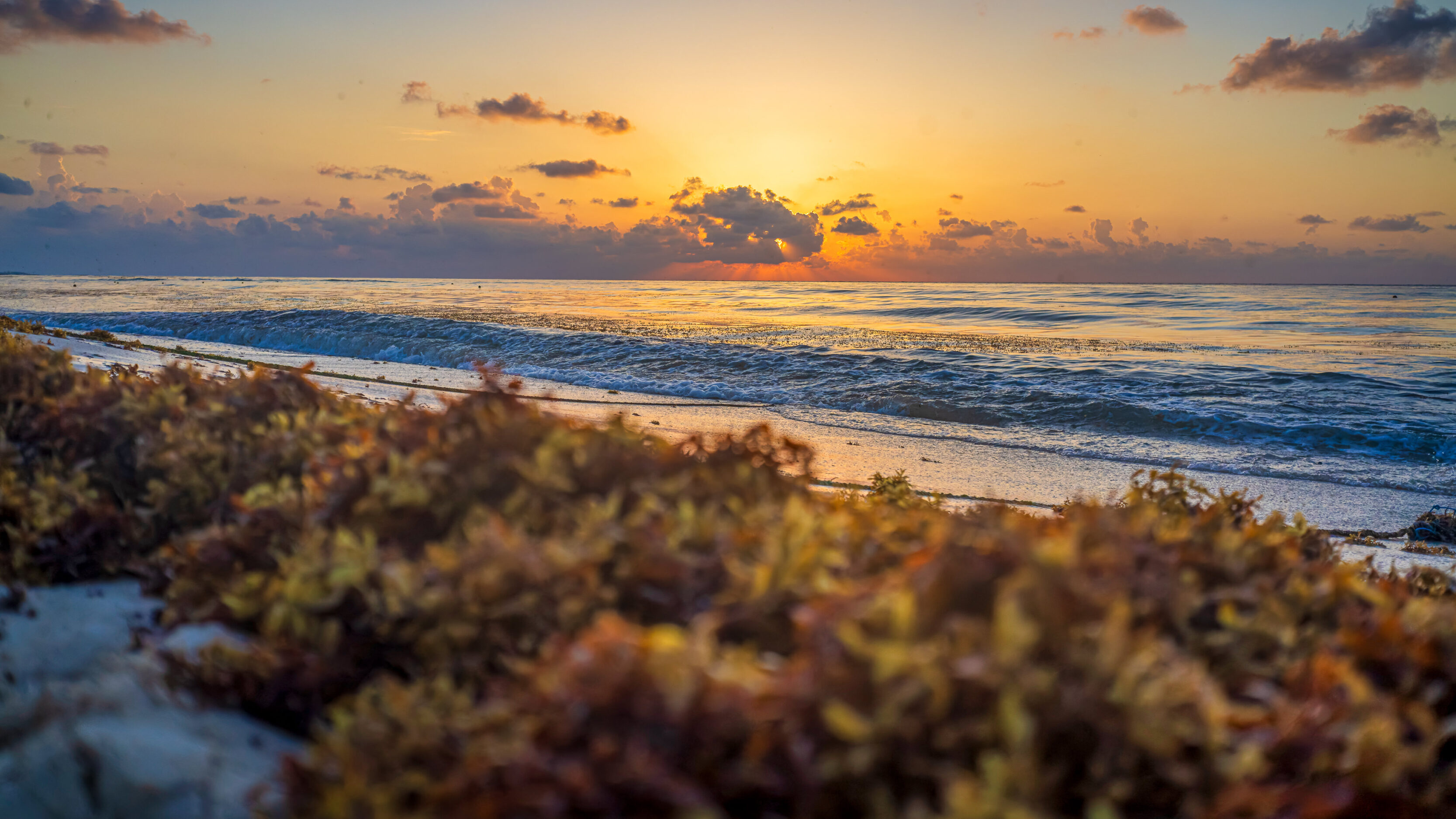 Sunrise in Playa del Carmen