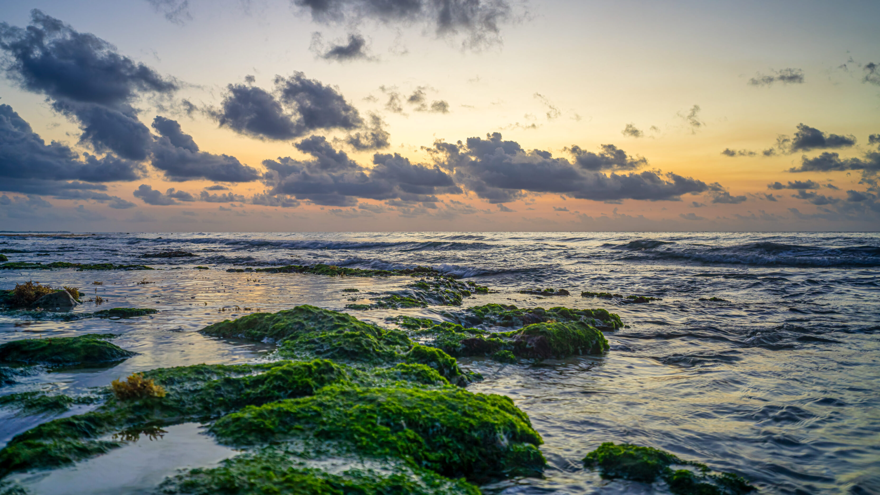 Sunrise In Playa Del Carmen