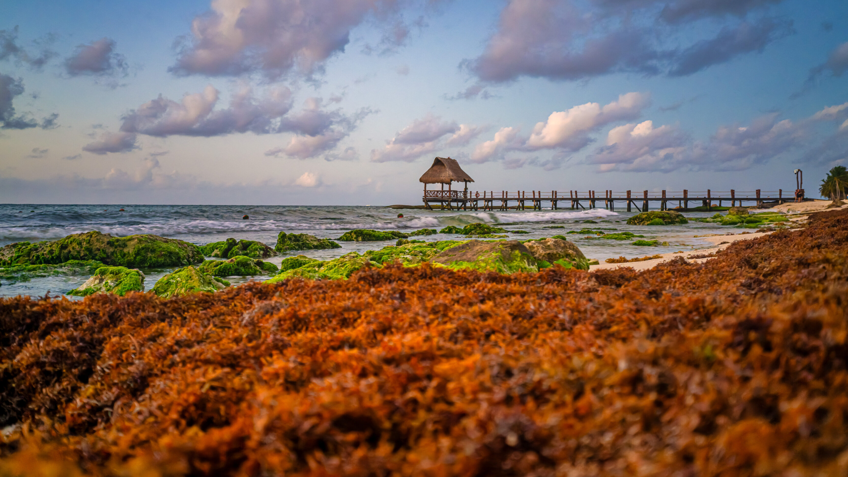 Sunrise in Playa del Carmen