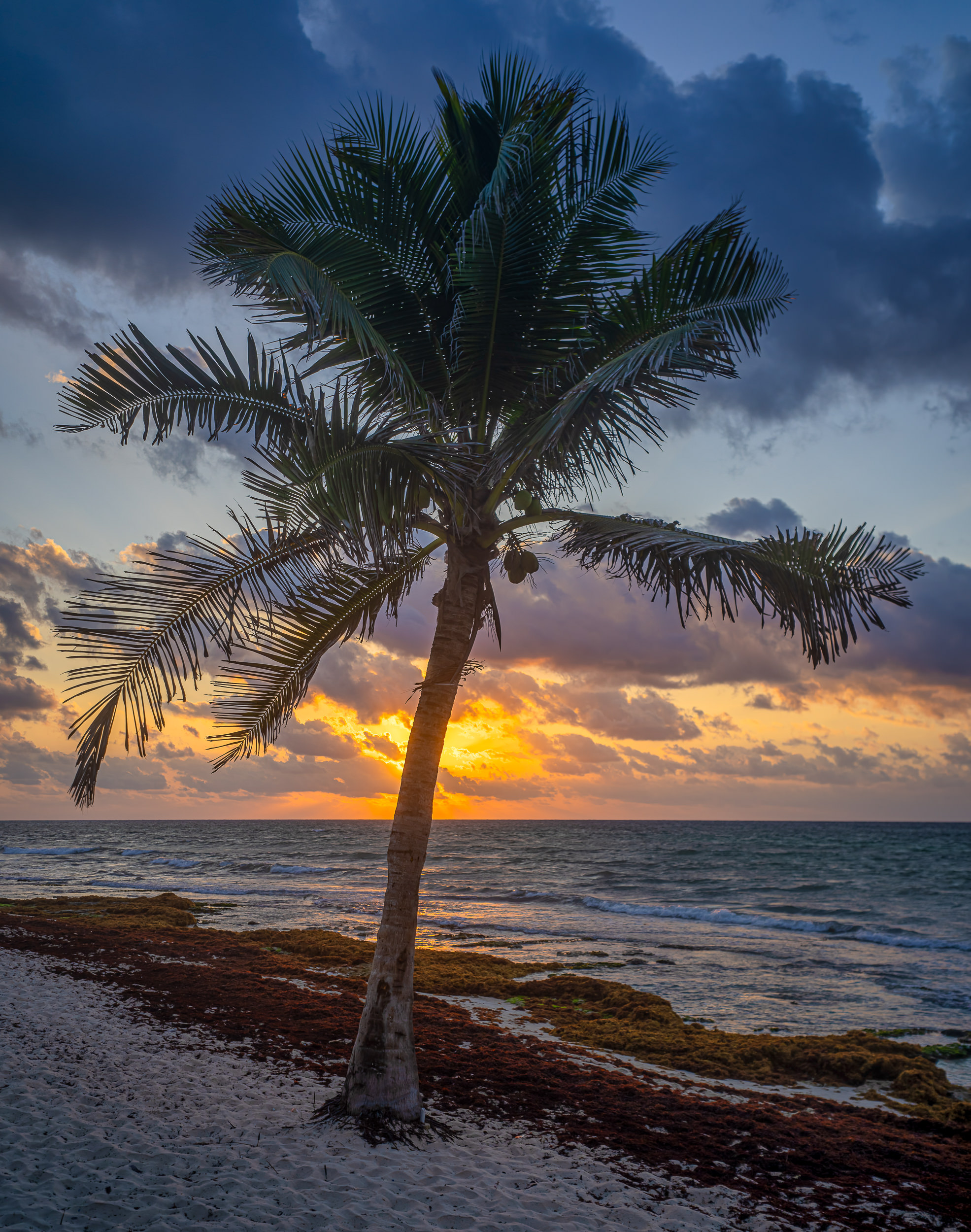 Sunrise In Playa Del Carmen 250430