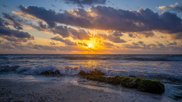 Sunrise In Playa Del Carmen 250430