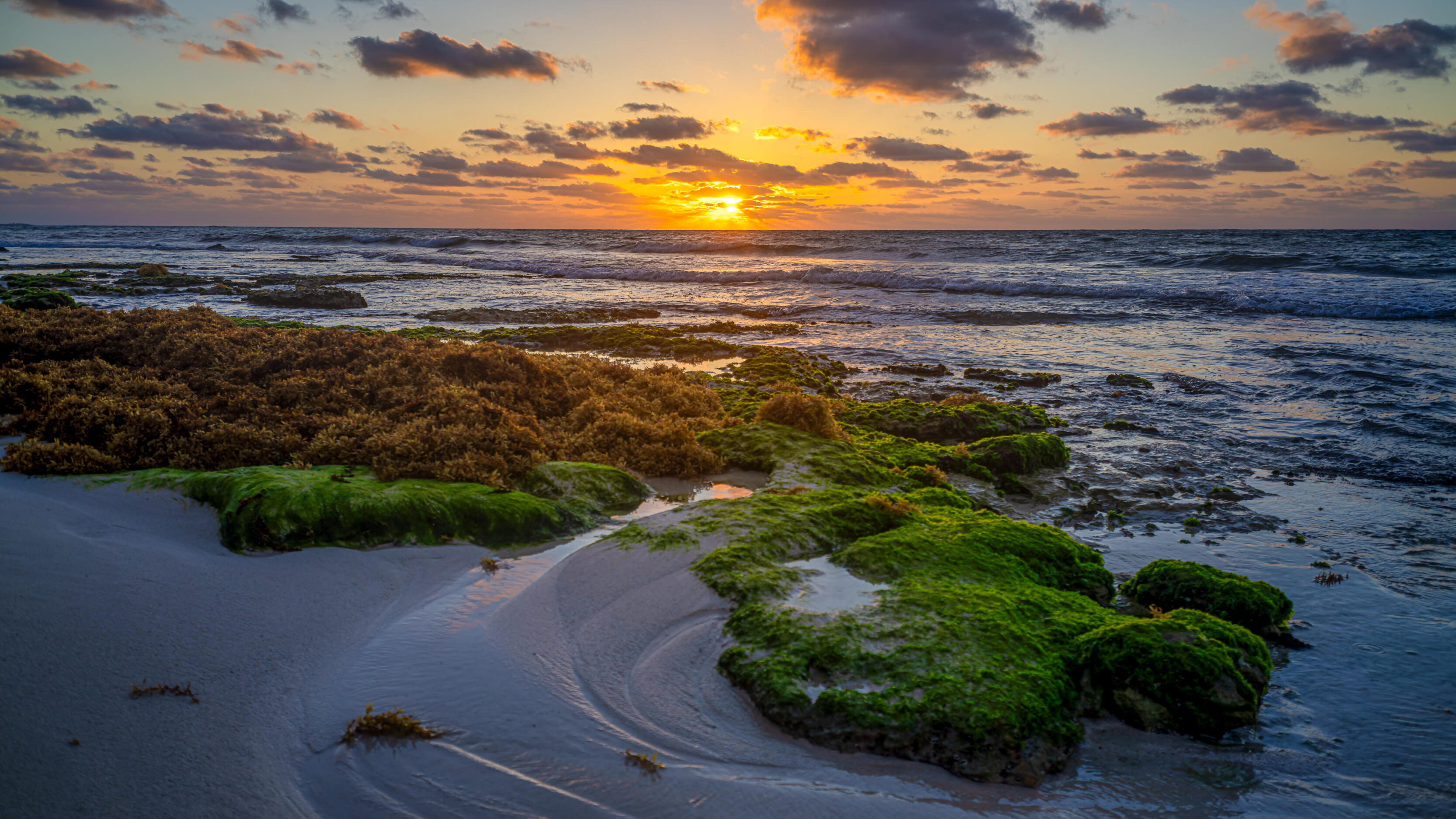 Sunrise in Playa del Carmen
