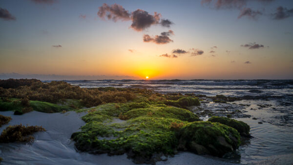 Final Attempt: Playa Del Carmen Sunrise 250502