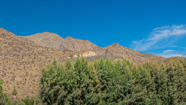 Hyatt Palm Springs Room 423
