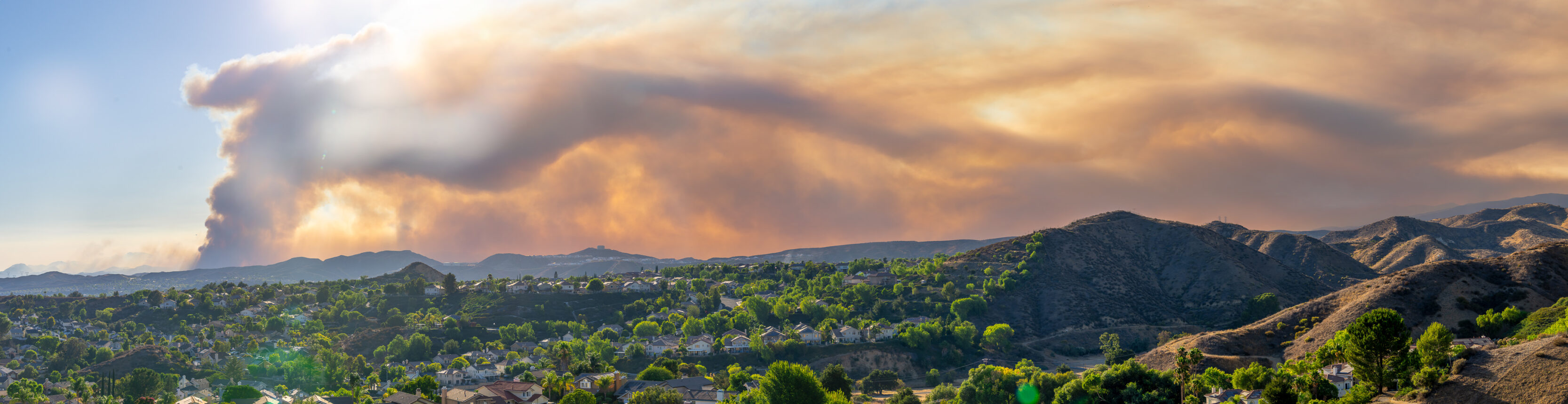 The Canyon Fire