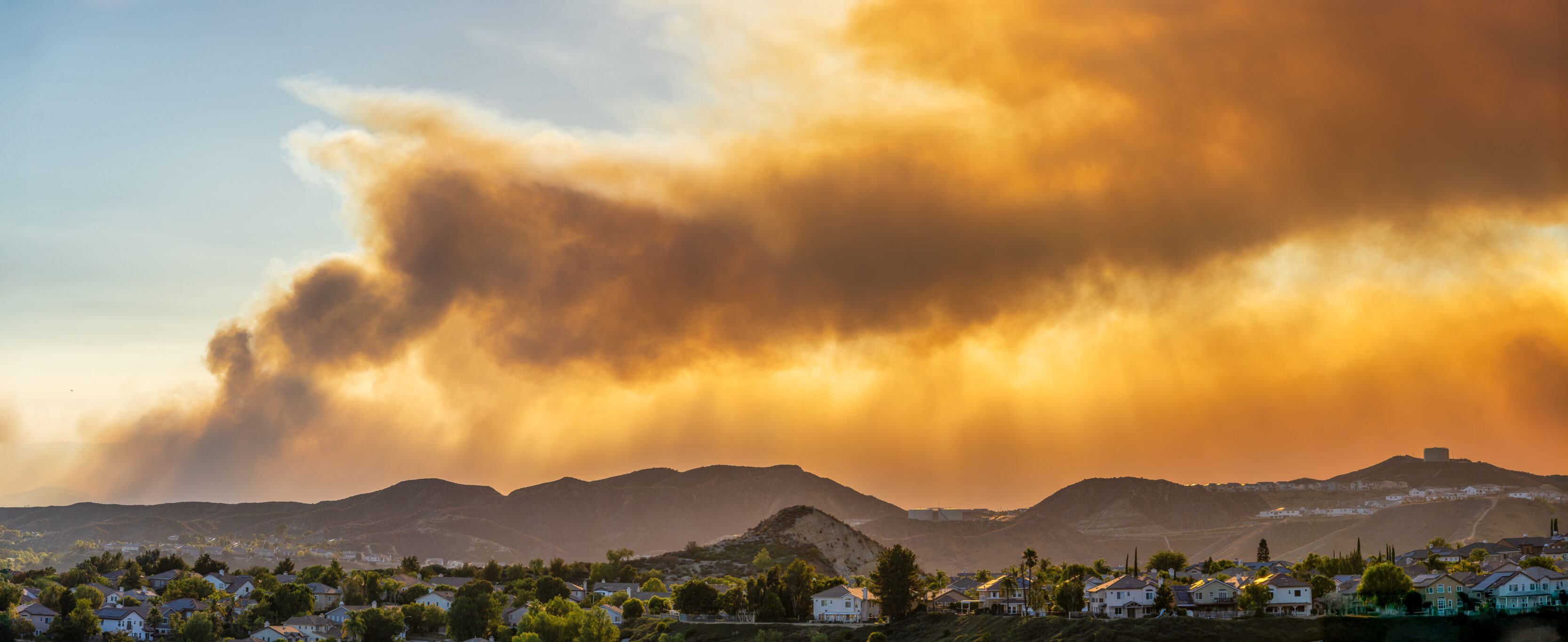 The Canyon Fire