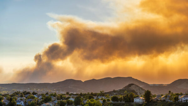 The Canyon Fire