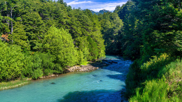 Puerto Blest, Rio Frias, Argentina