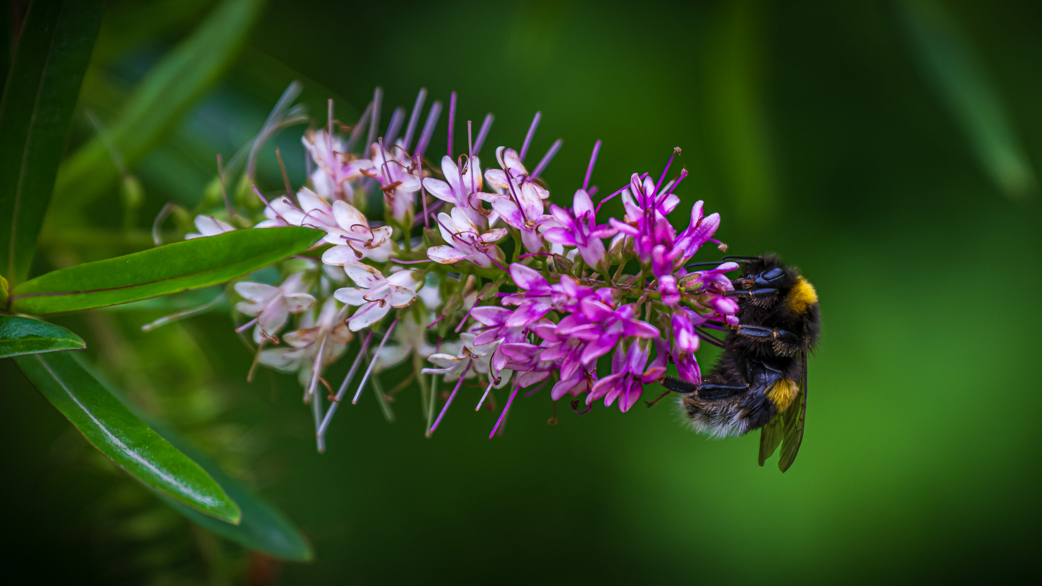 Wandering The Patagonia Brewery Company