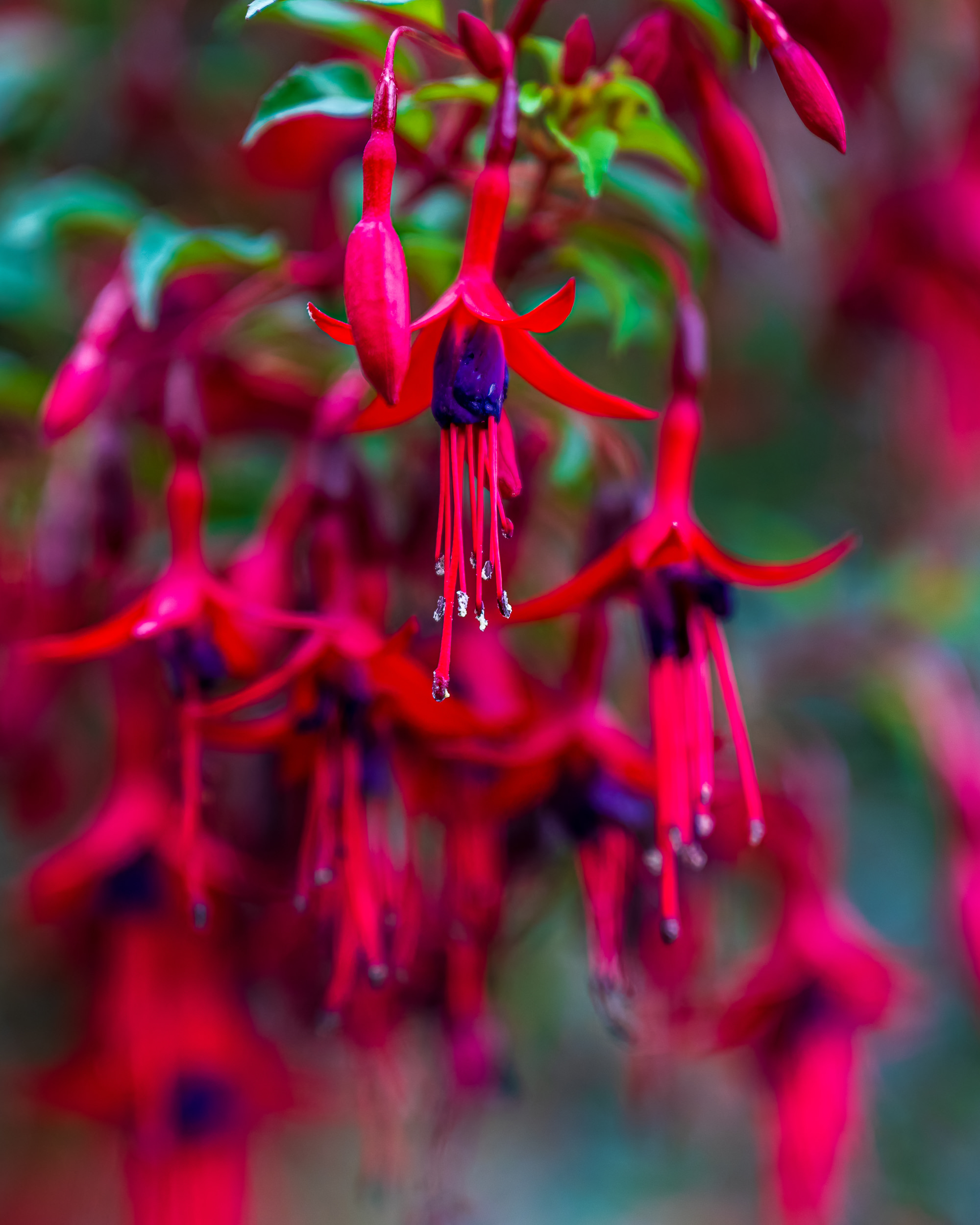 Wandering The Patagonia Brewery Company