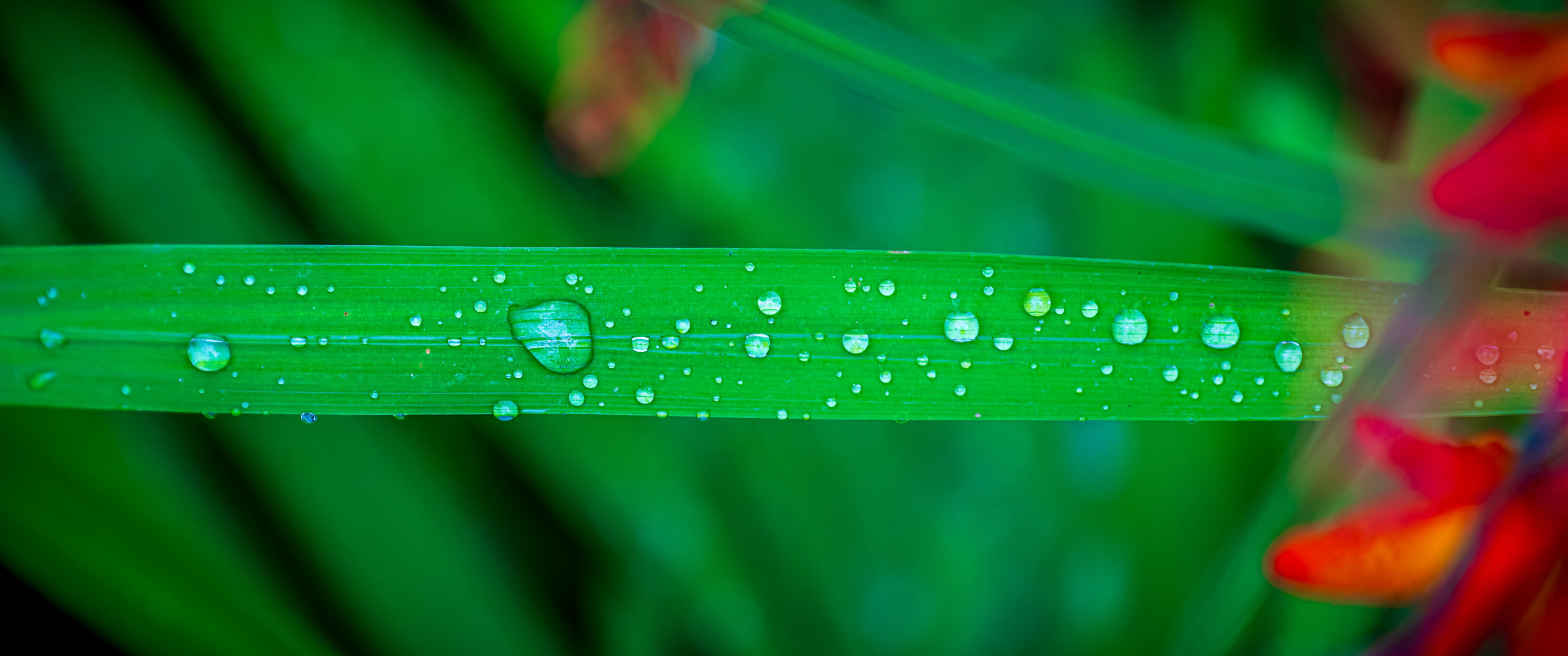 Wandering The Patagonia Brewery Company