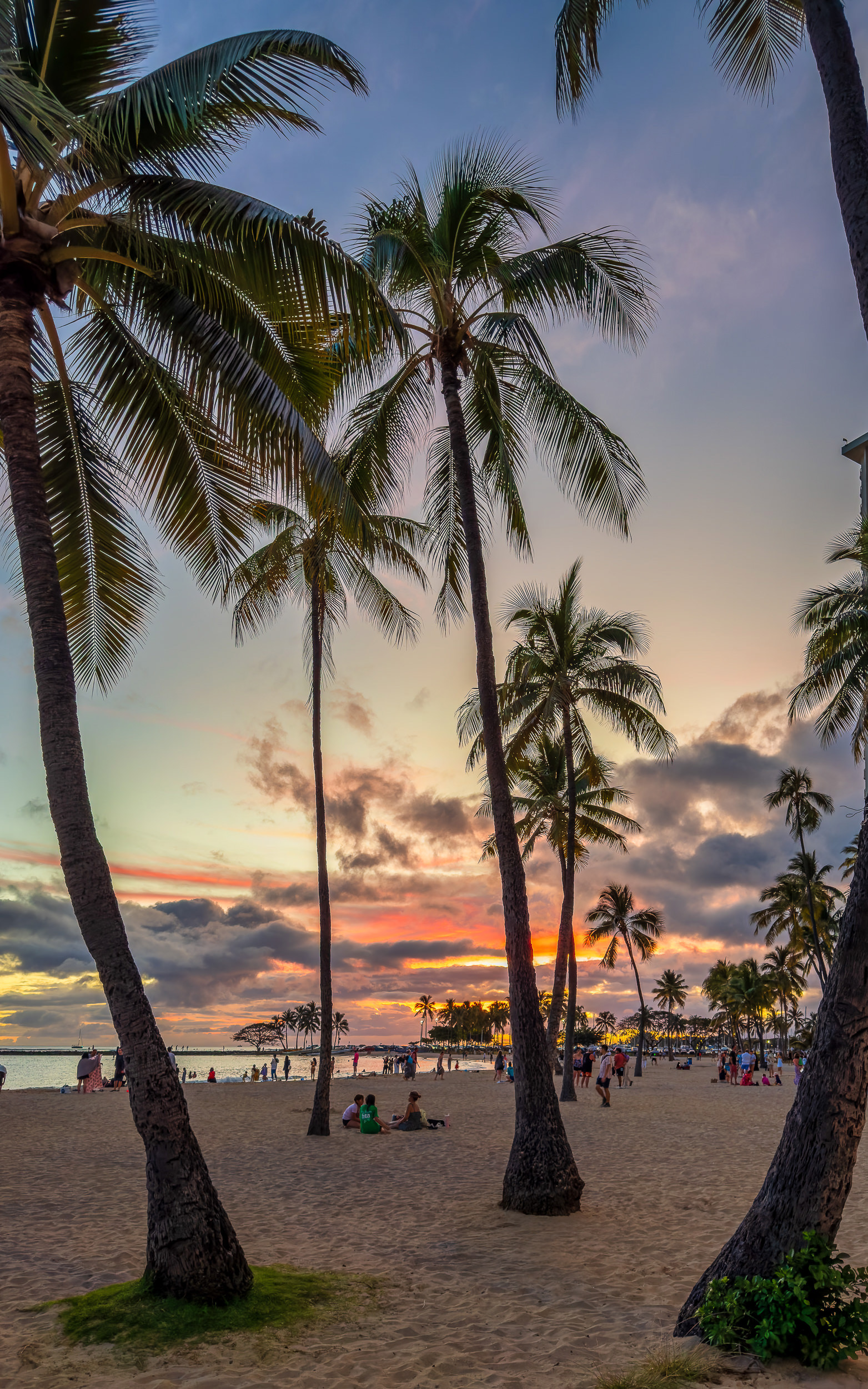 More From A Glorious Hawaiian Sunset