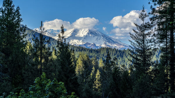 Beautiful Mount Shasta Via Apple ProRAW