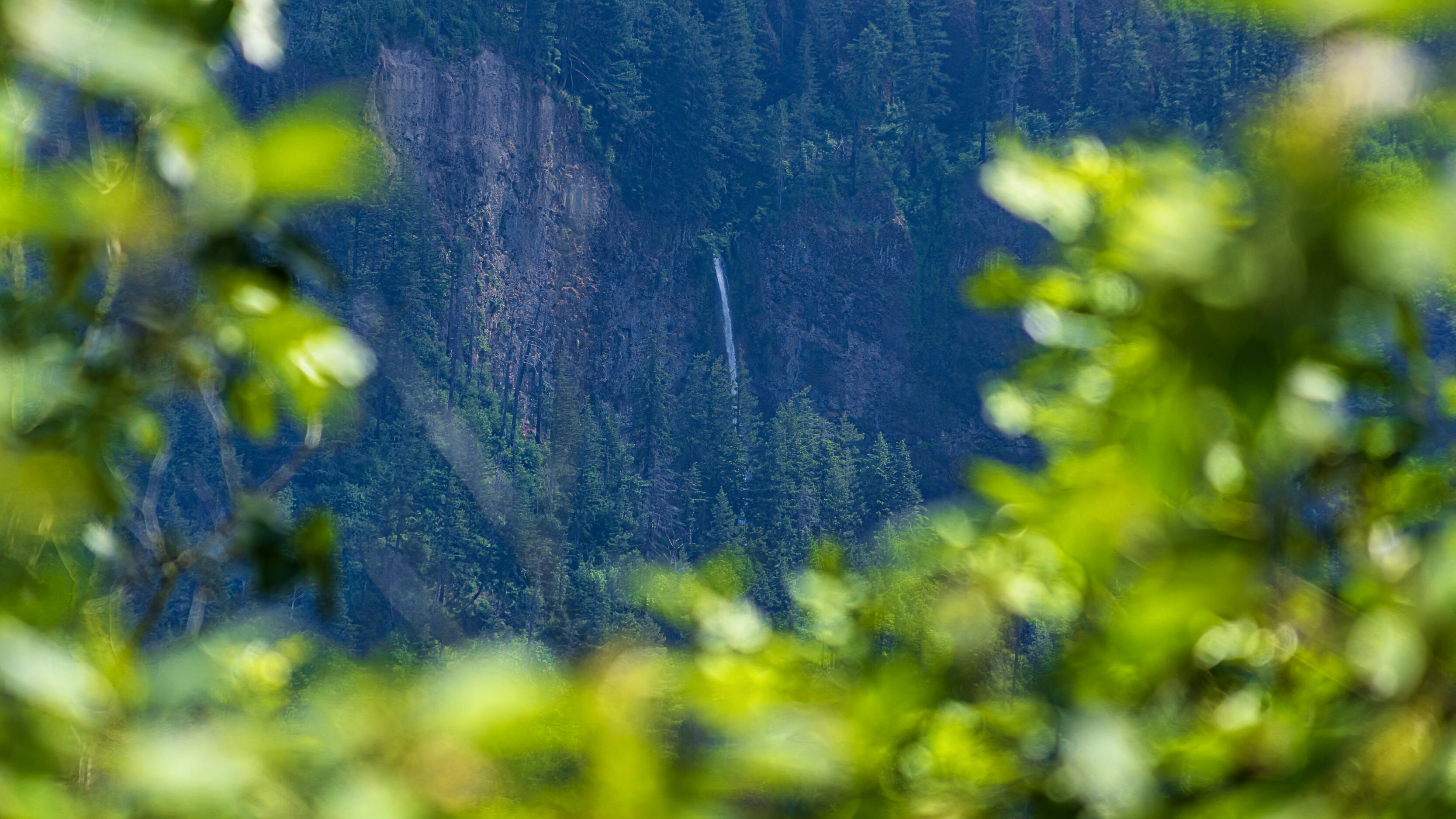 2026_06_05_Columbia_River_Gorge_00073-Edit_3840 ‣ In The Viewfinder Waterfall Hunting