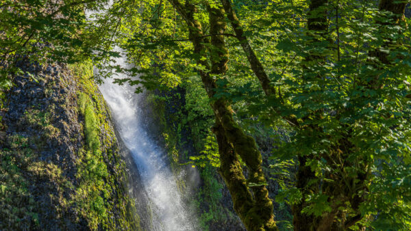 Horsetail Falls
