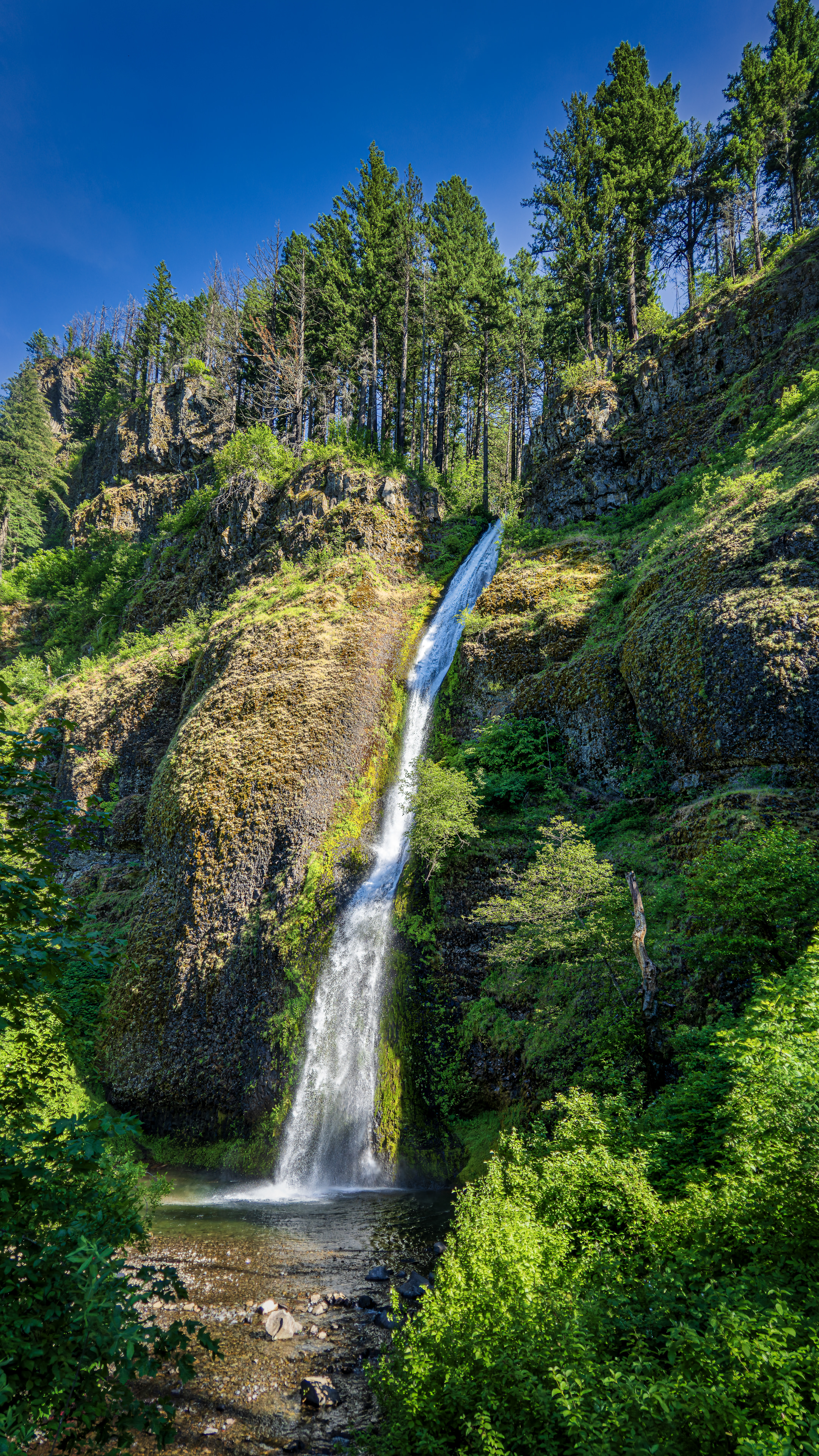 Horsetail Falls