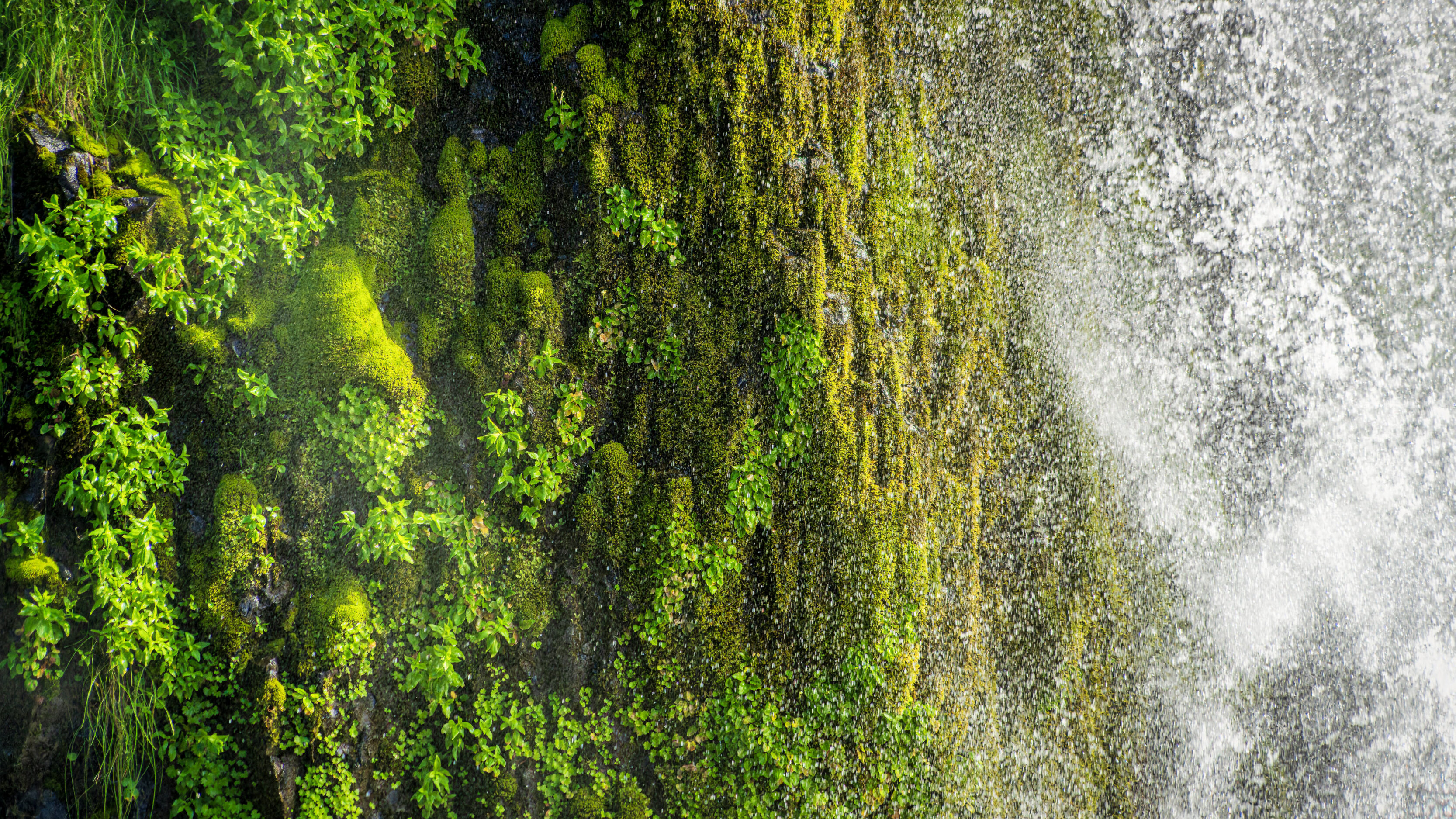 Horsetail Falls