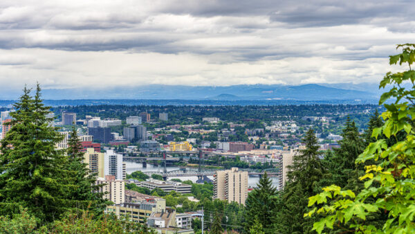 Turner Brothers Vista: A Portland View