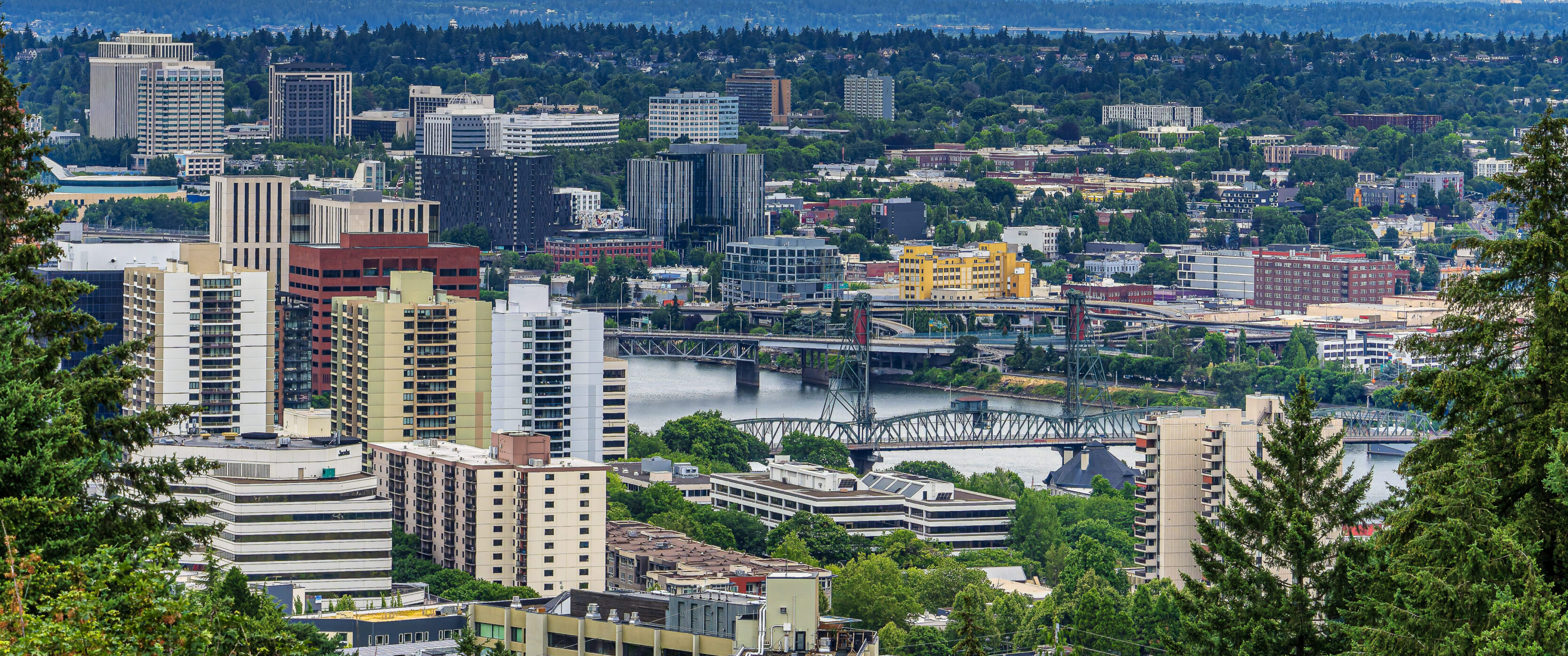 Turner Brothers Vista: A Portland View