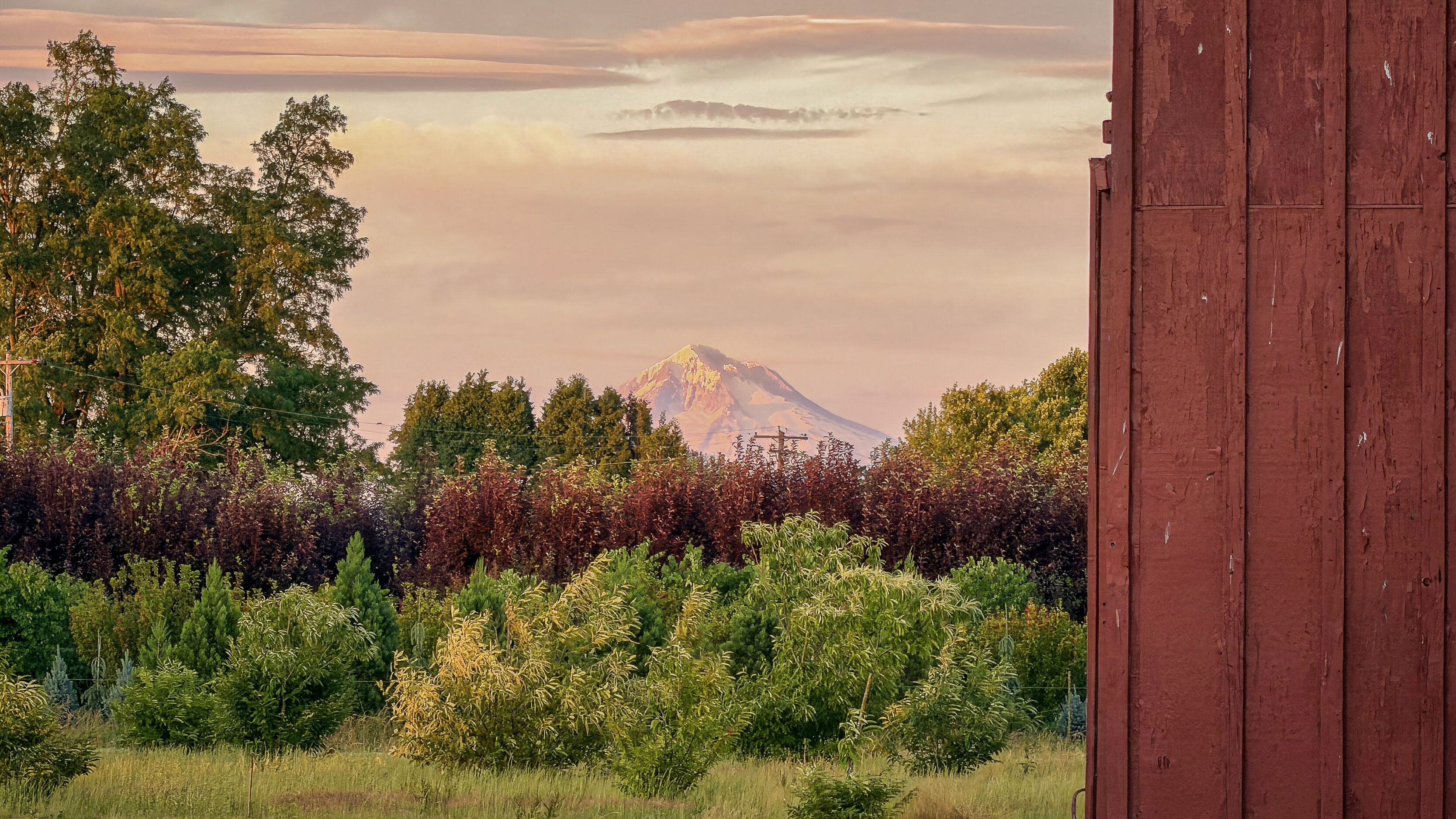 Summer Evening in Canby
