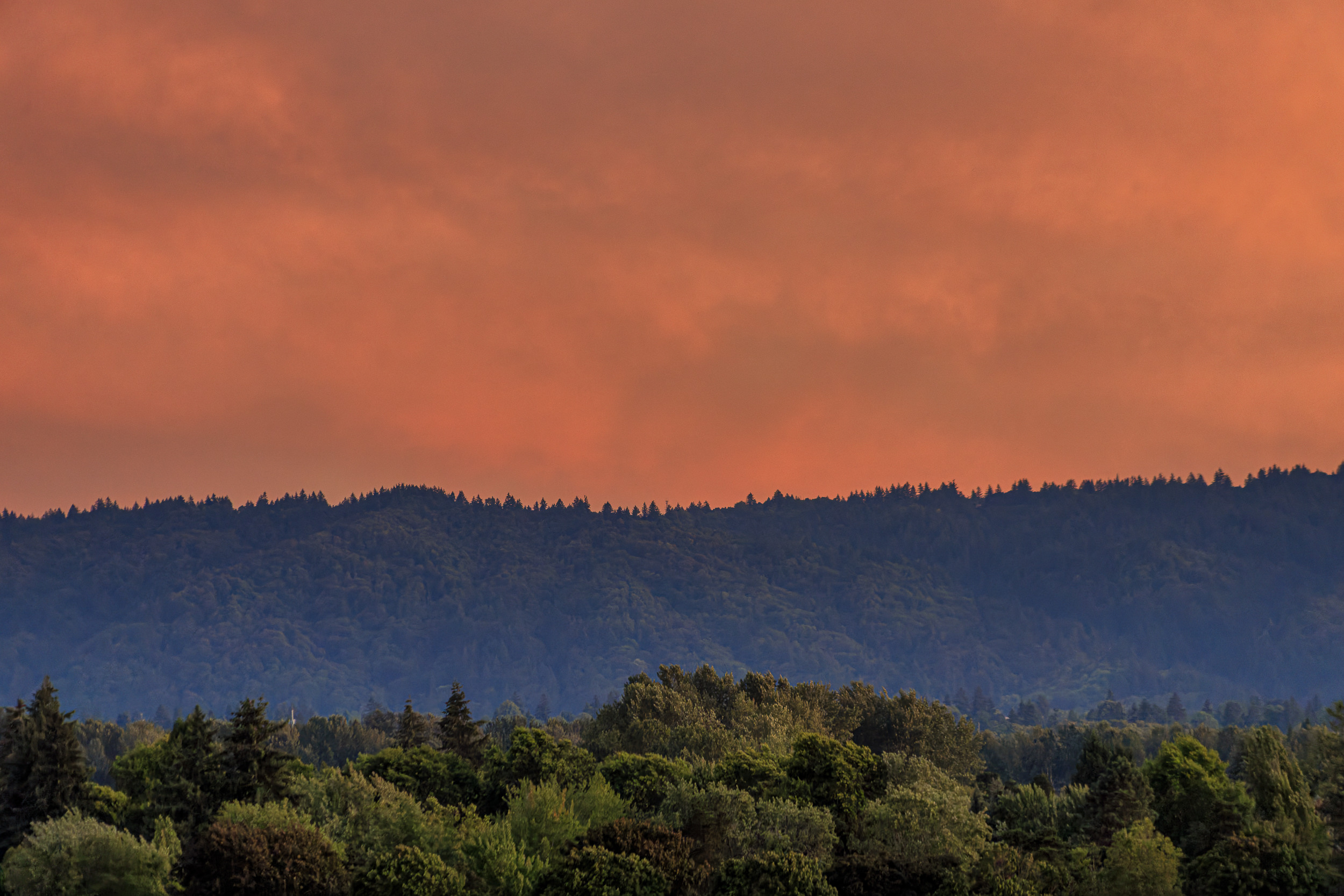 2026_07_19_Balcony_Sunset_0004-Edit_2500 ‣ In The Viewfinder Orange sunset sky over a forested hillside with dark tree silhouettes along the ridge at dusk.