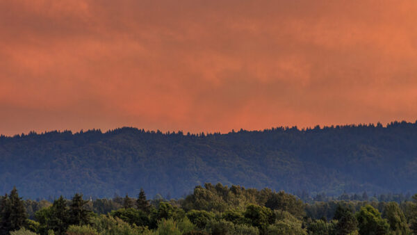 Orange sunset sky over a forested hillside with a blue atmospheric layer near the horizon, and a foreground of trees.