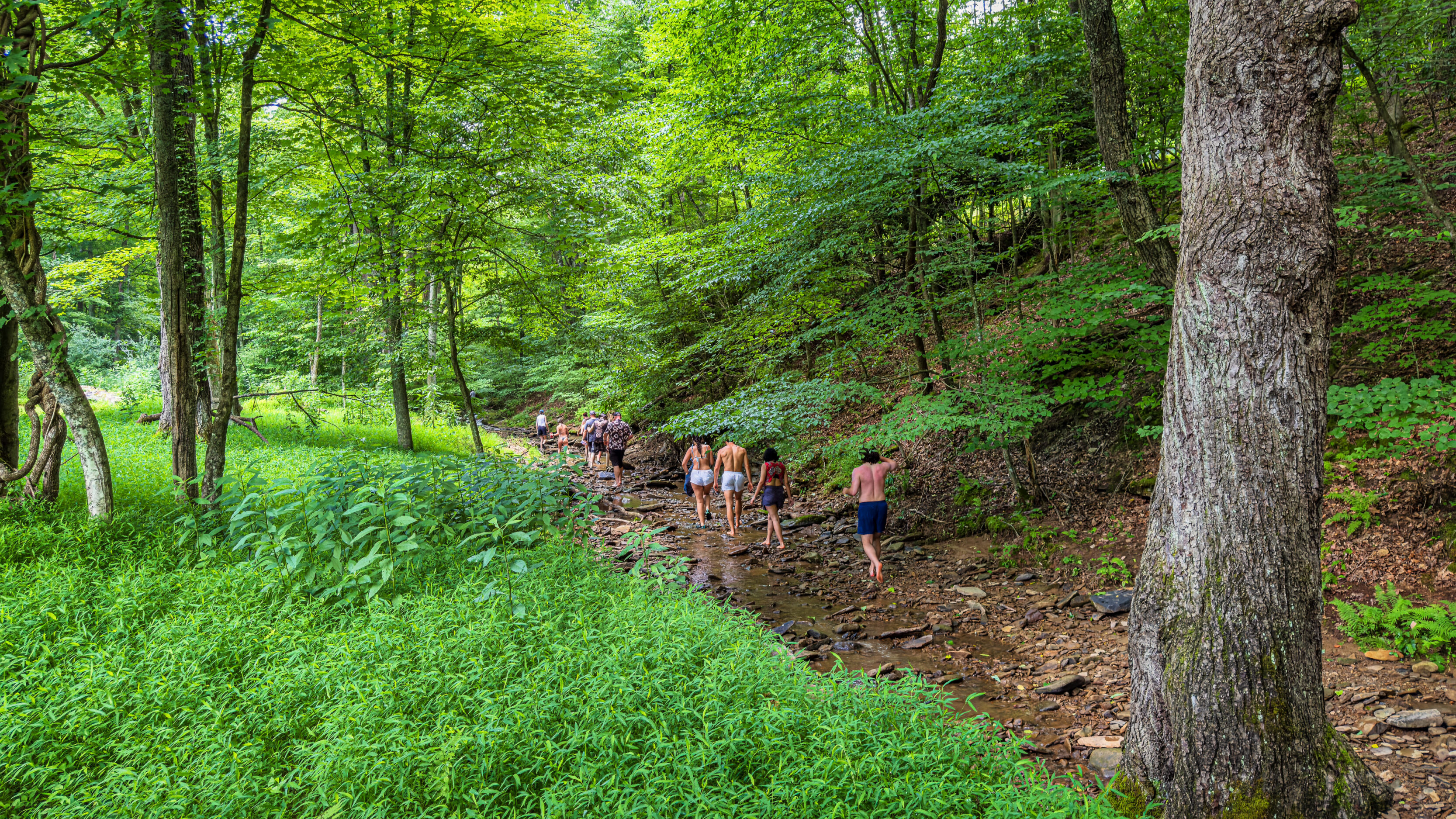 The trek to flat rocks