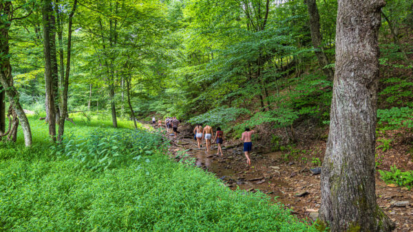 The trek to flat rocks