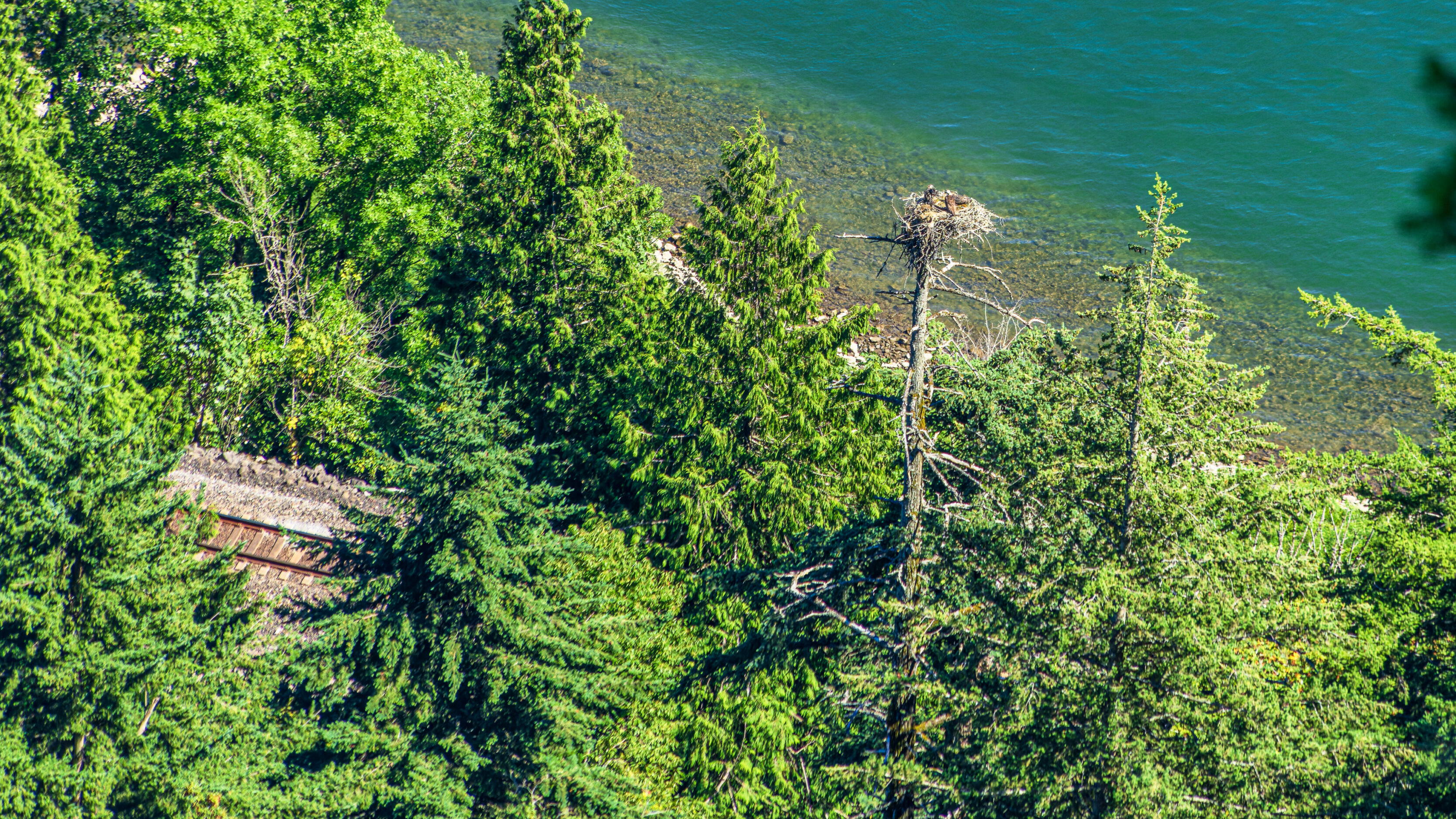 An Osprey Nest At The Cape Horn Outlook