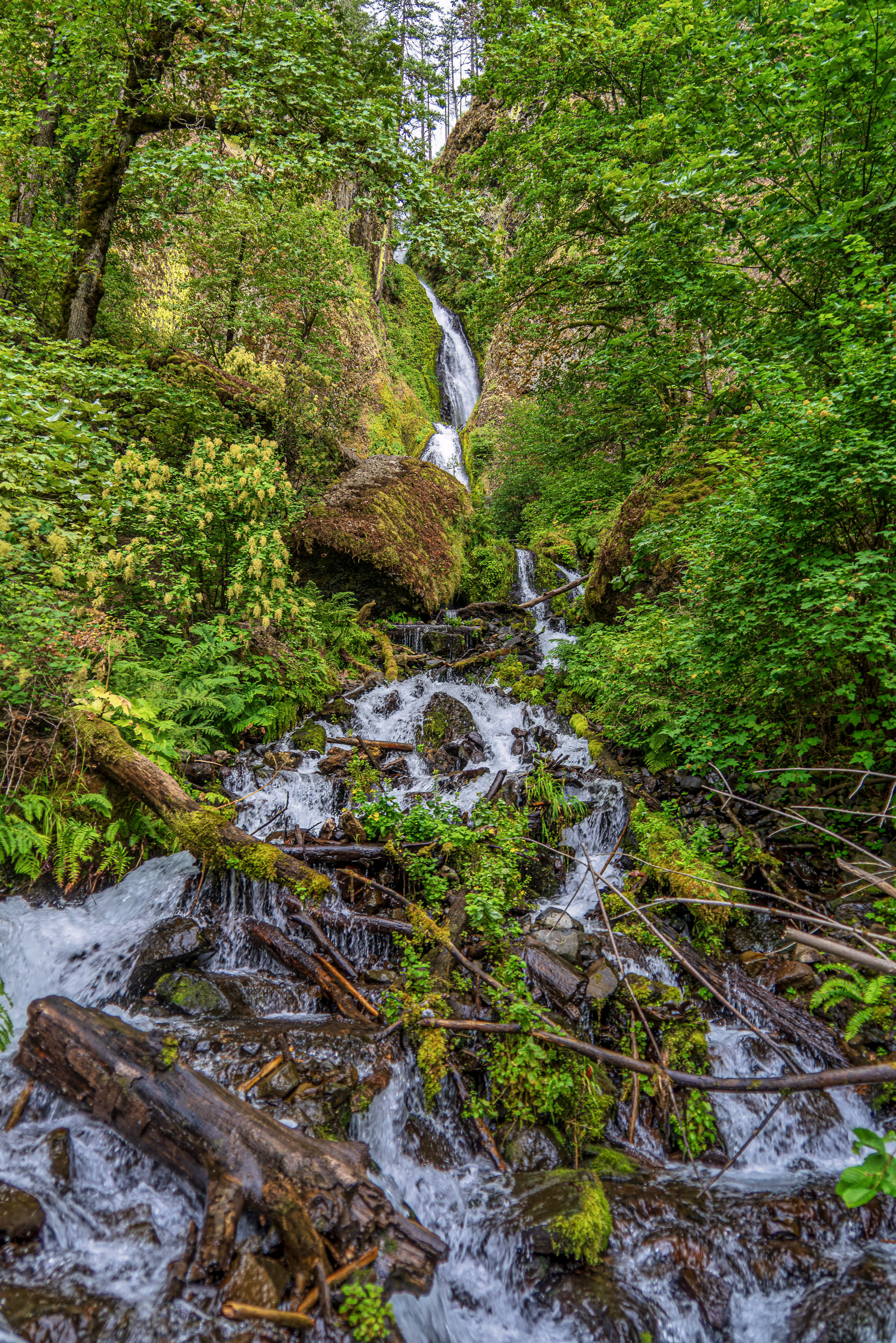 Wahkeena Falls