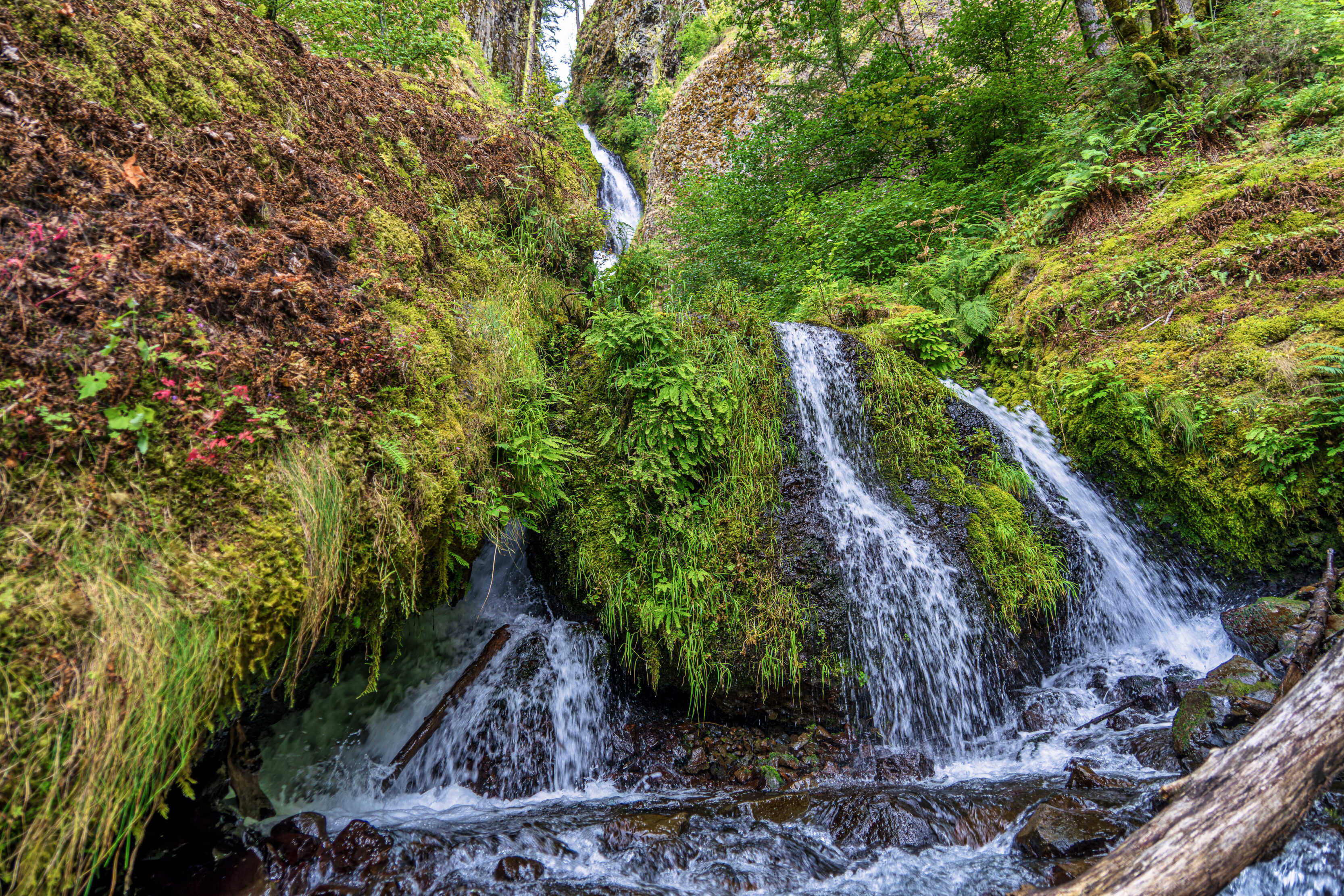 Wahkeena Falls