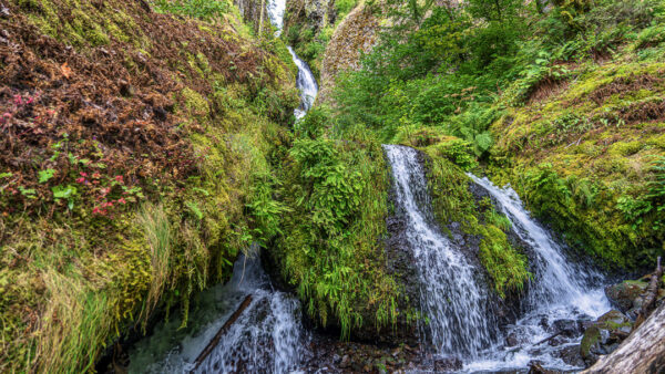 A cascading waterfall flowing through a mossy, green ravine with ferns and rocks.