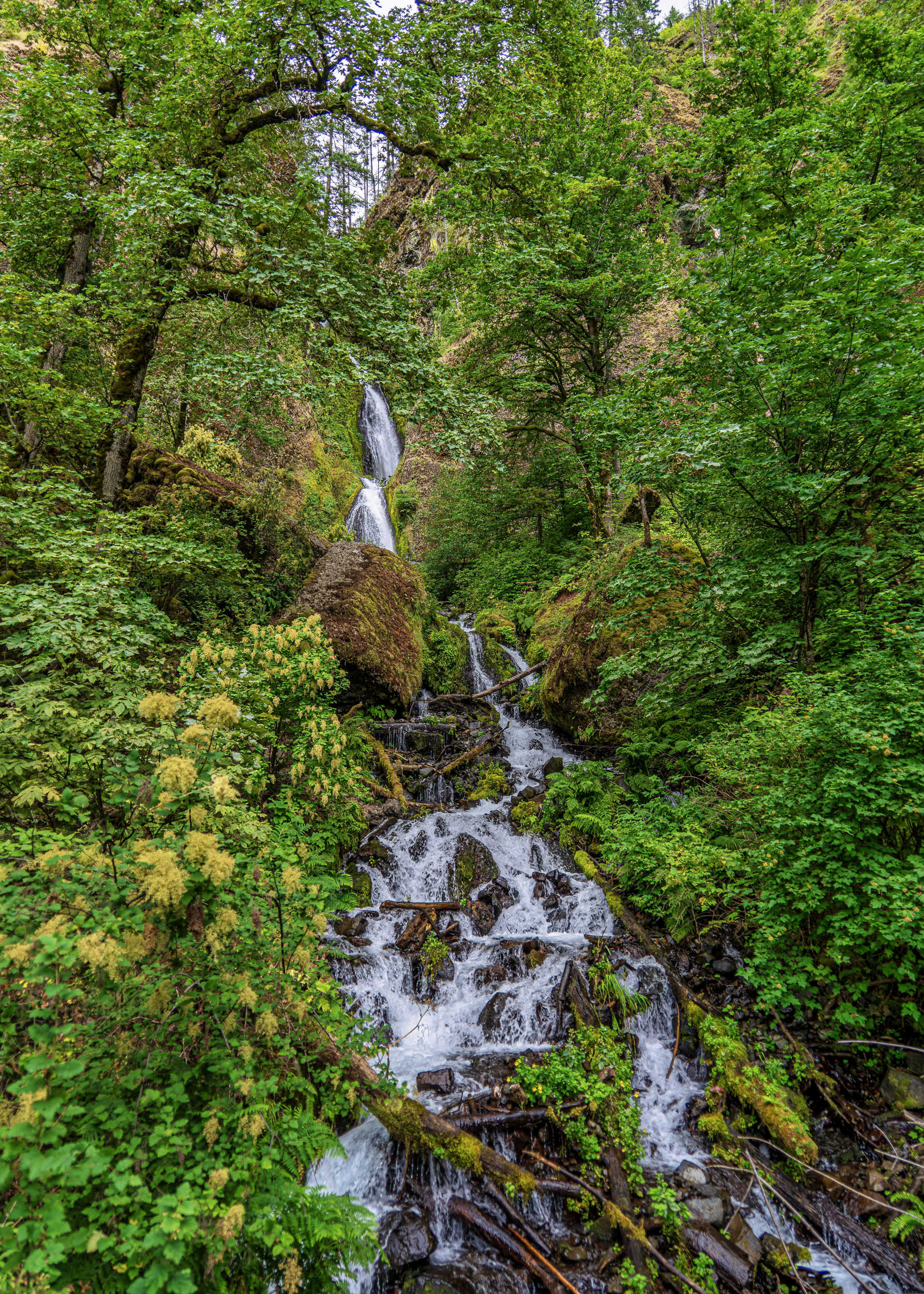 Dense forest surrounds a small multi-tier waterfall cascading over mossy rocks in a lush green gorge.