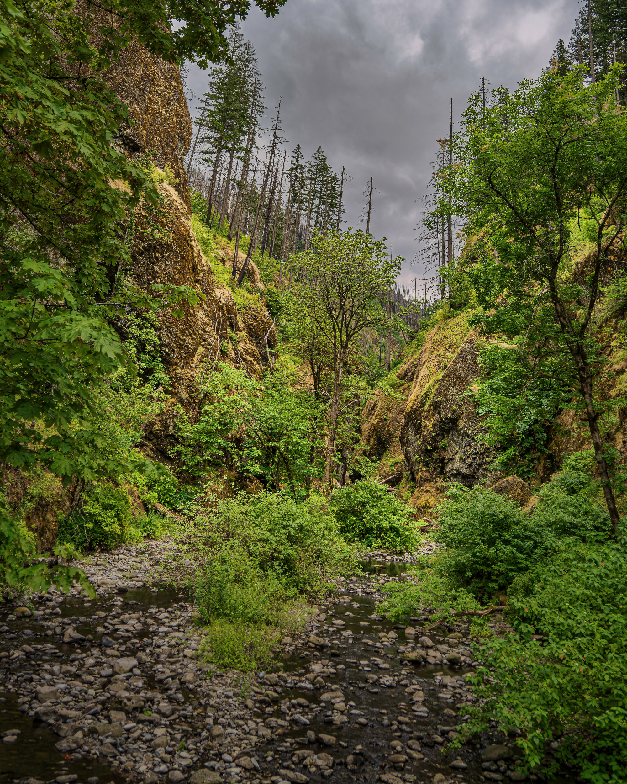 Oneonta Gorge