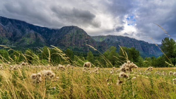 Beacon Rock State Park